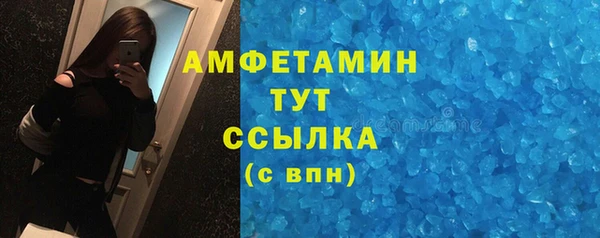индика Богородск