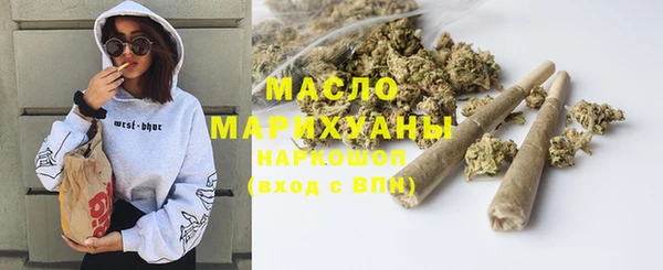 индика Богородск
