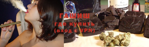 спиды Богородицк