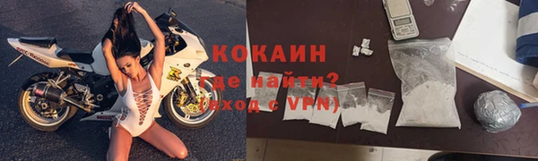 индика Богородск