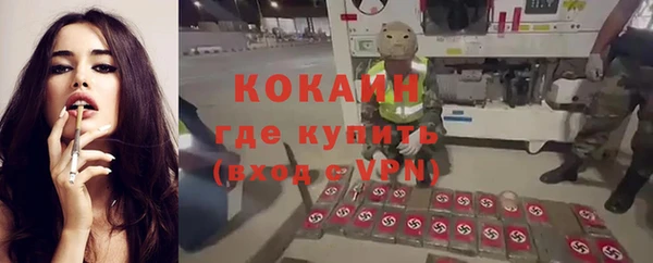 спиды Богородицк