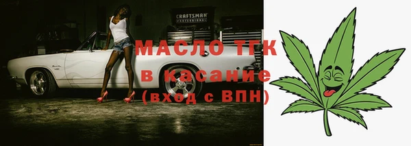 индика Богородск
