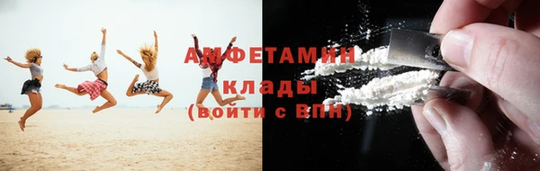 индика Богородск