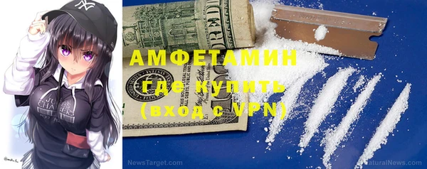индика Богородск