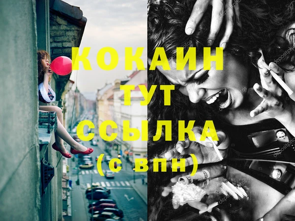 спиды Богородицк