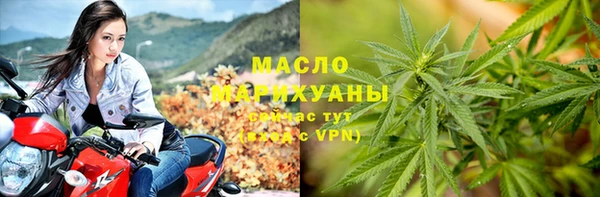 спиды Богородицк