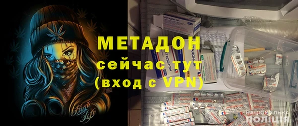 индика Богородск