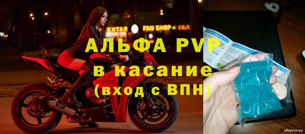 индика Богородск