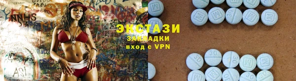 индика Богородск