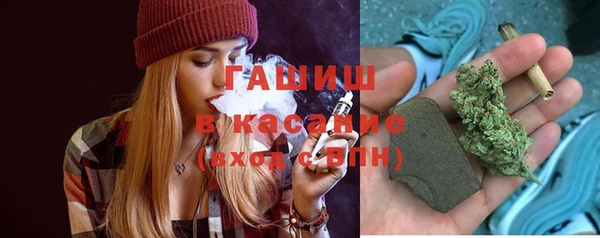 индика Богородск