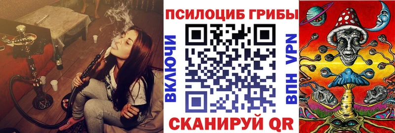 Псилоцибиновые грибы мухоморы  где продают наркотики  Магнитогорск 