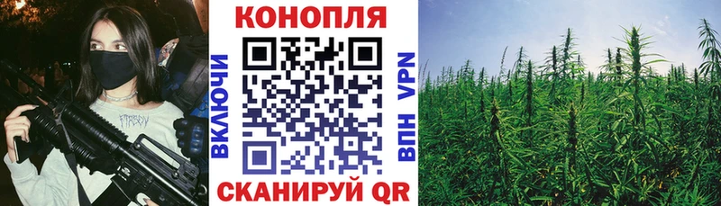 Шишки марихуана Bruce Banner  купить наркотик  МЕГА ссылка  Магнитогорск 